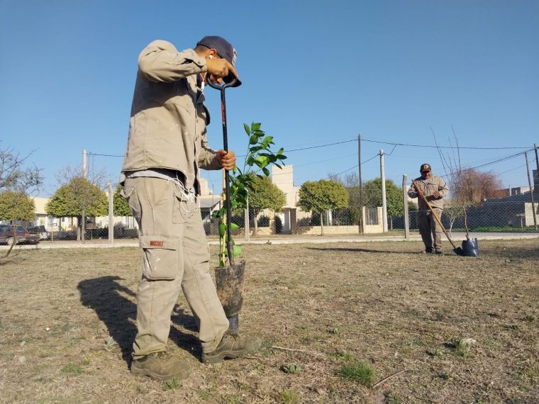 Día de Plantación en el Jardín 25 de Mayo 