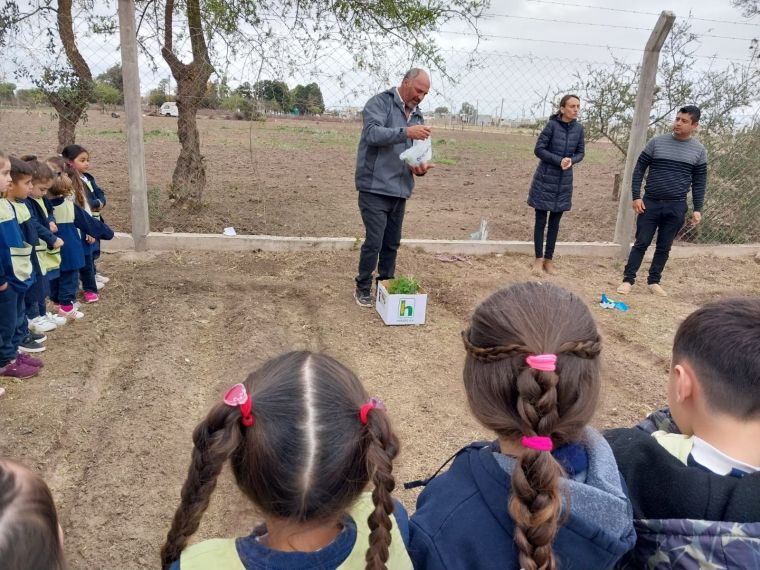 Huerta en el Jardín 25 de Mayo 