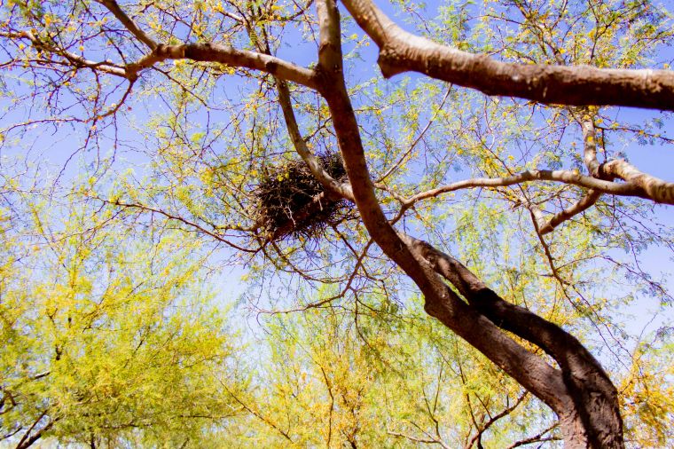 Ecosistema del Parque Mitre