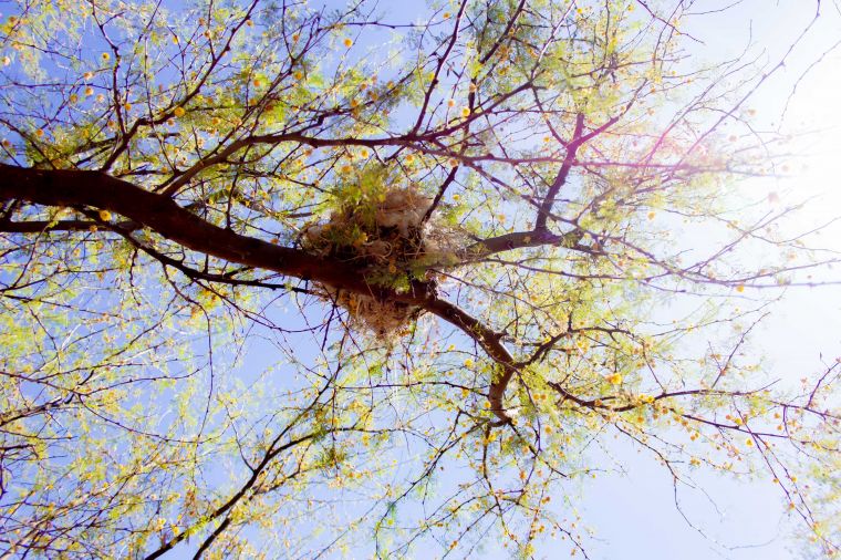 Ecosistema del Parque Mitre