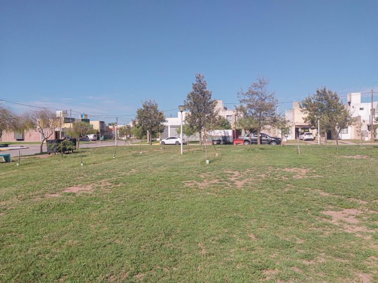 Tareas de mantenimiento en espacios verdes de la ciudad