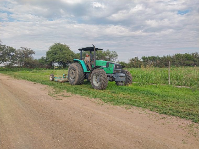 Tareas de mantenimiento en espacios verdes de la ciudad