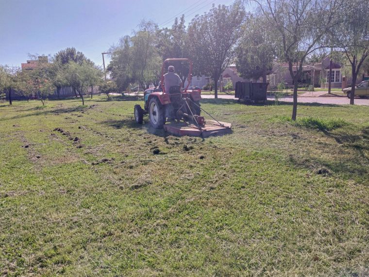 Tareas de mantenimiento en espacios verdes de la ciudad