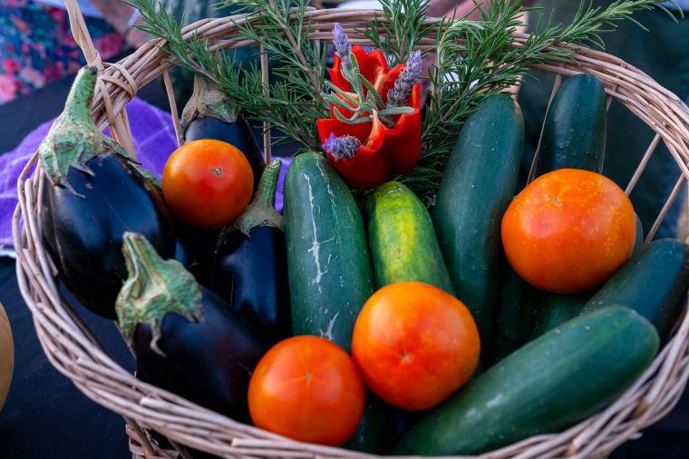 Una jornada especial en la Huerta Municipal